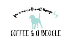Coffee & a Beagle