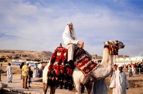View of Robert Tucker on a camel in Giza, Egypt.