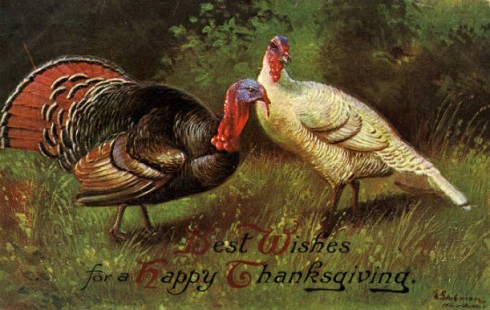 Thanksgiving Postcard